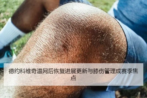德约科维奇温网后恢复进展更新与膝伤管理成赛季焦点
