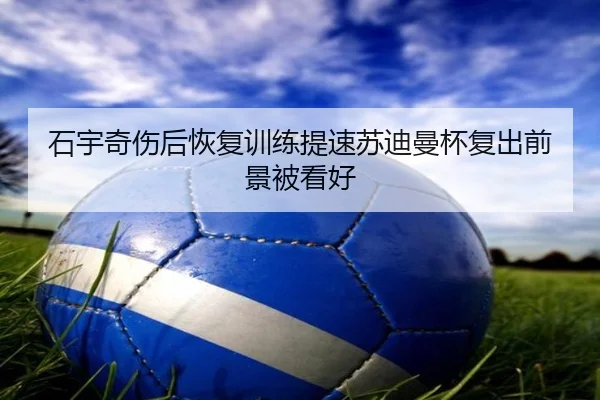 石宇奇伤后恢复训练提速苏迪曼杯复出前景被看好