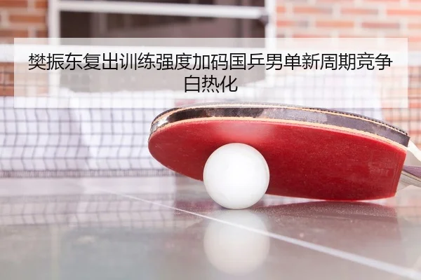 樊振东复出训练强度加码国乒男单新周期竞争白热化